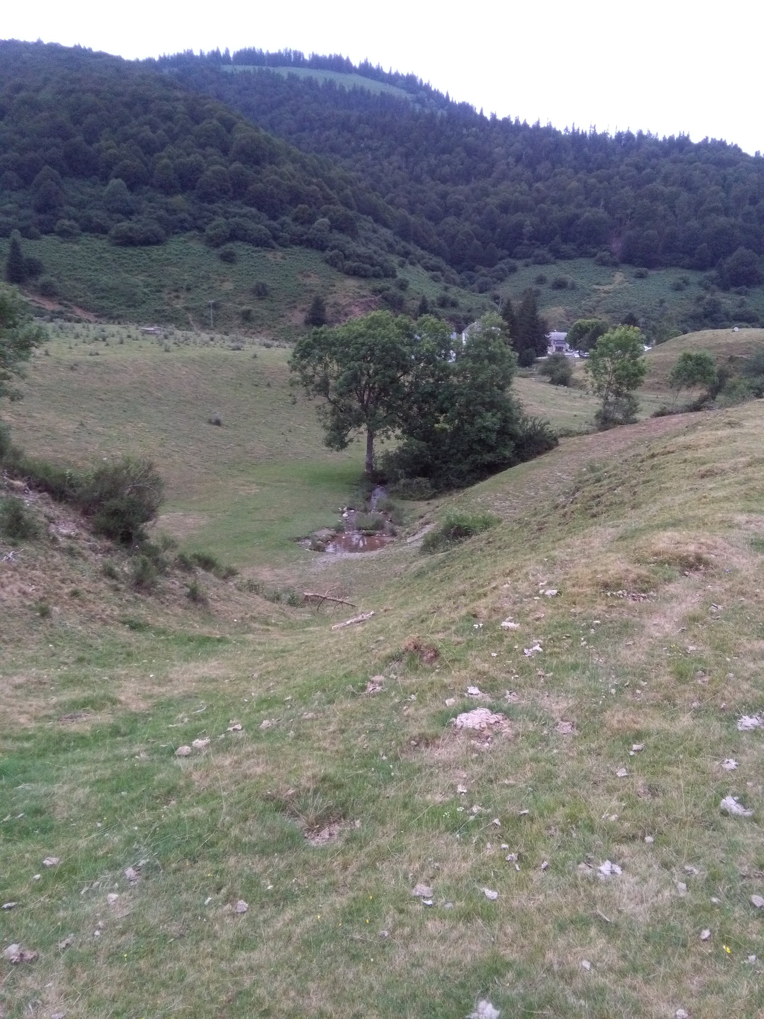 Photo n° 8 de l'avis de Fredozza. fait le 17/08/2021 à 07:56