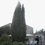 Photo n°9 de l'avis de Caterina.a fait le 10/08/2017 à 15:14 sur le  Agriturismo Difesa d'Ischia à Guardia Perticara