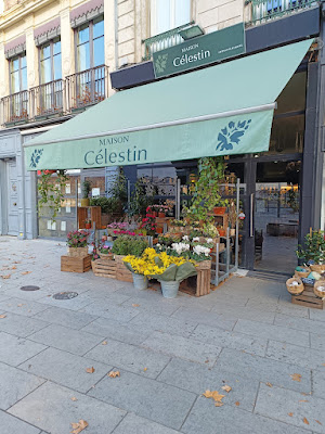 MAISON CELESTIN Artisan Fleuriste à Lyon