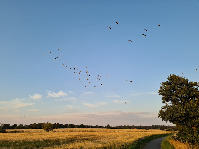 Solbjerggårdsvej 8, 3200 Helsinge
