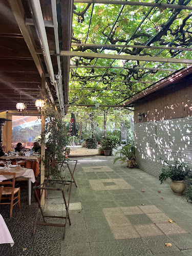 Comentarii opinii despre Κληματαριά Πιτερός