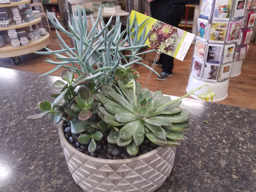 Florist «Maple Grove Floral», reviews and photos, 13708 83rd Way N, Maple Grove, MN 55369, USA