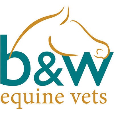 B&W Equine Group - Failand - Bristol