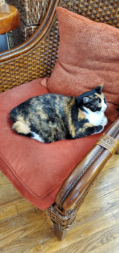 Book Store «Phoenix & Dragon Bookstore», reviews and photos, 5531 Roswell Rd NE, Sandy Springs, GA 30342, USA