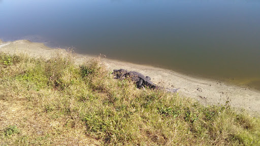 Golf Course «Buffalo Creek Golf Course», reviews and photos, 8100 69th St E, Palmetto, FL 34221, USA