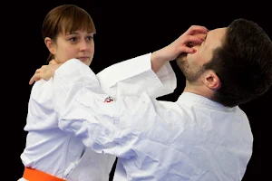 Jiu-Jitsu-Karate Rockenhausen e.V. image