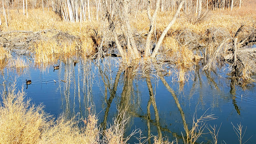 State Park «Cherry Creek State Park», reviews and photos, 4201 S Parker Rd, Aurora, CO 80014, USA