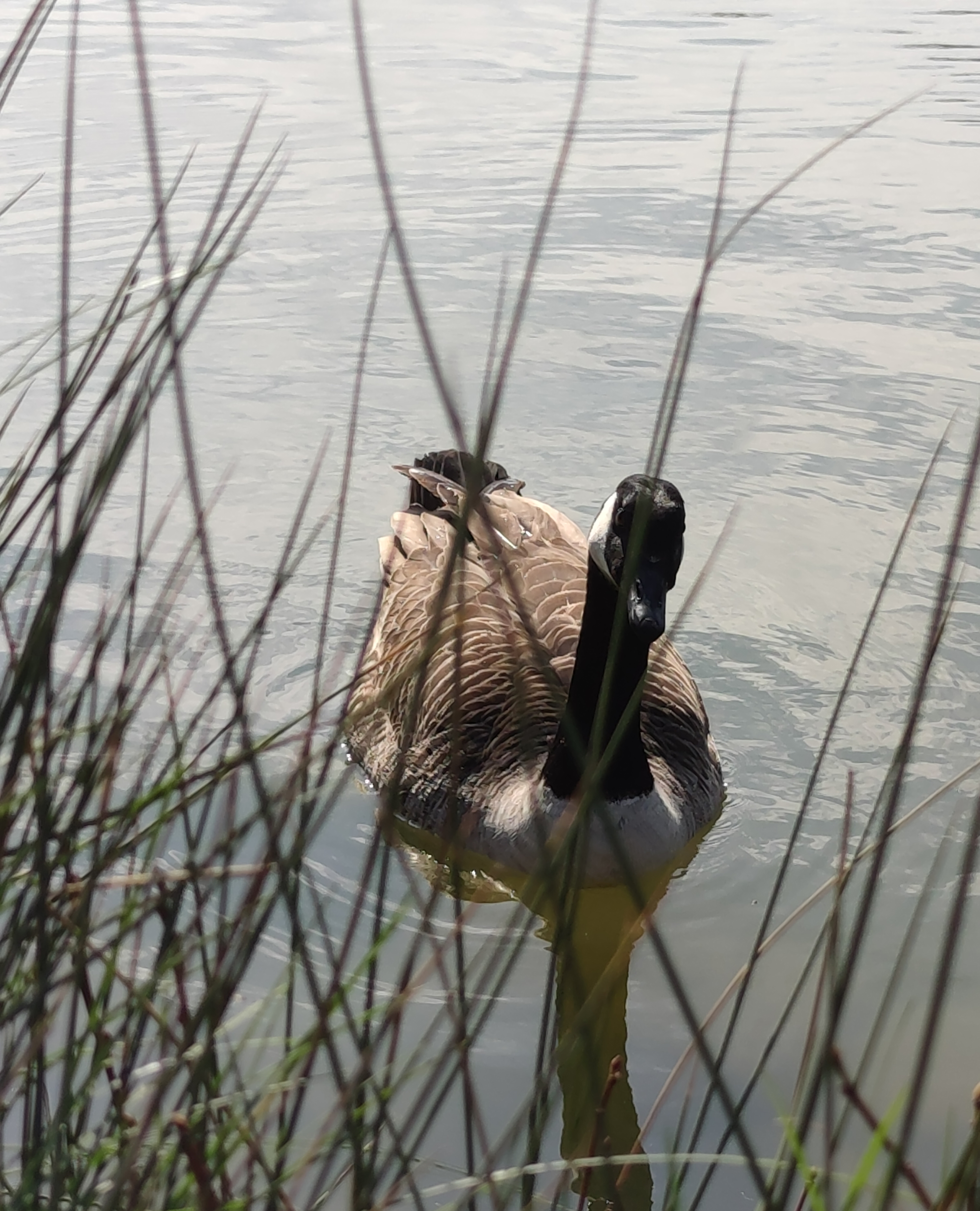Photo n° 12 de l'avis de Javier.l fait le 20/03/2022 à 12:48