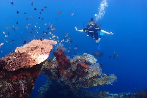 Tour Dive Bali image