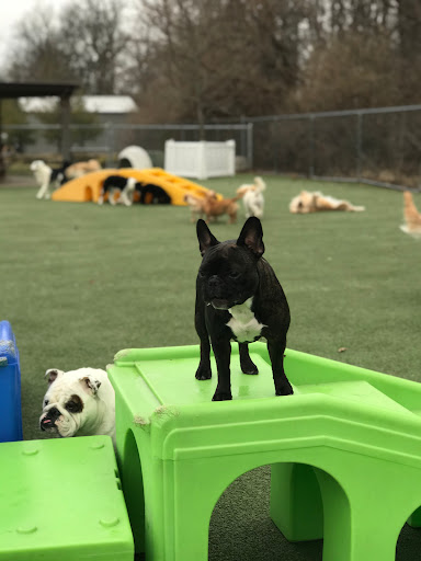 Pet Store «Happy, Clean and Smart», reviews and photos, 5700 W Kilgore Ave, Muncie, IN 47304, USA