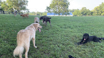 Wags Pet Retreat - Photo 9 - Car repair in Nicholasville, KY, Lexington