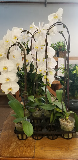 Florist «Sieck-Wright Floral Products», reviews and photos, 231 Monmouth St, Hightstown, NJ 08520, USA