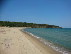 Police beach'in fotoğrafı vahşi alan