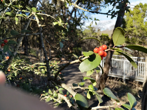Nature Preserve «Stillhouse Hollow Nature Preserve», reviews and photos, 7810 Sterling Dr, Austin, TX 78759, USA