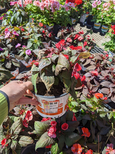 Home Improvement Store «The Home Depot», reviews and photos, 782 PA-113, Souderton, PA 18964, USA