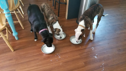 Pet Supply Store «PetSmart», reviews and photos, 467 Cross Keys Rd, Sicklerville, NJ 08081, USA