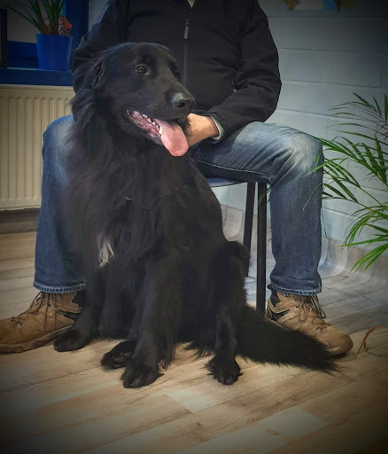 Frank Altehans unter Saterland, Niedersachsen