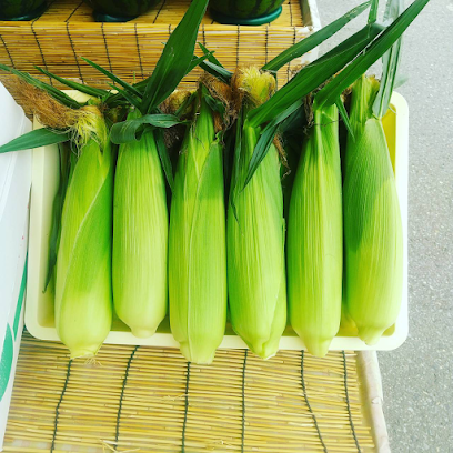 奥山長左ェ門農園 尾花沢スイカ直売所