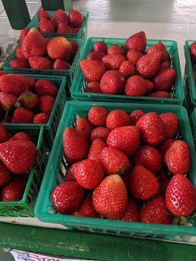 Produce Market «Nelson Family Farms», reviews and photos, 875 W Midway Rd, Fort Pierce, FL 34982, USA