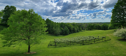 Winery «Pleasant Hill Winery», reviews and photos, 5015 Pleasant Hill Rd, Athens, OH 45701, USA