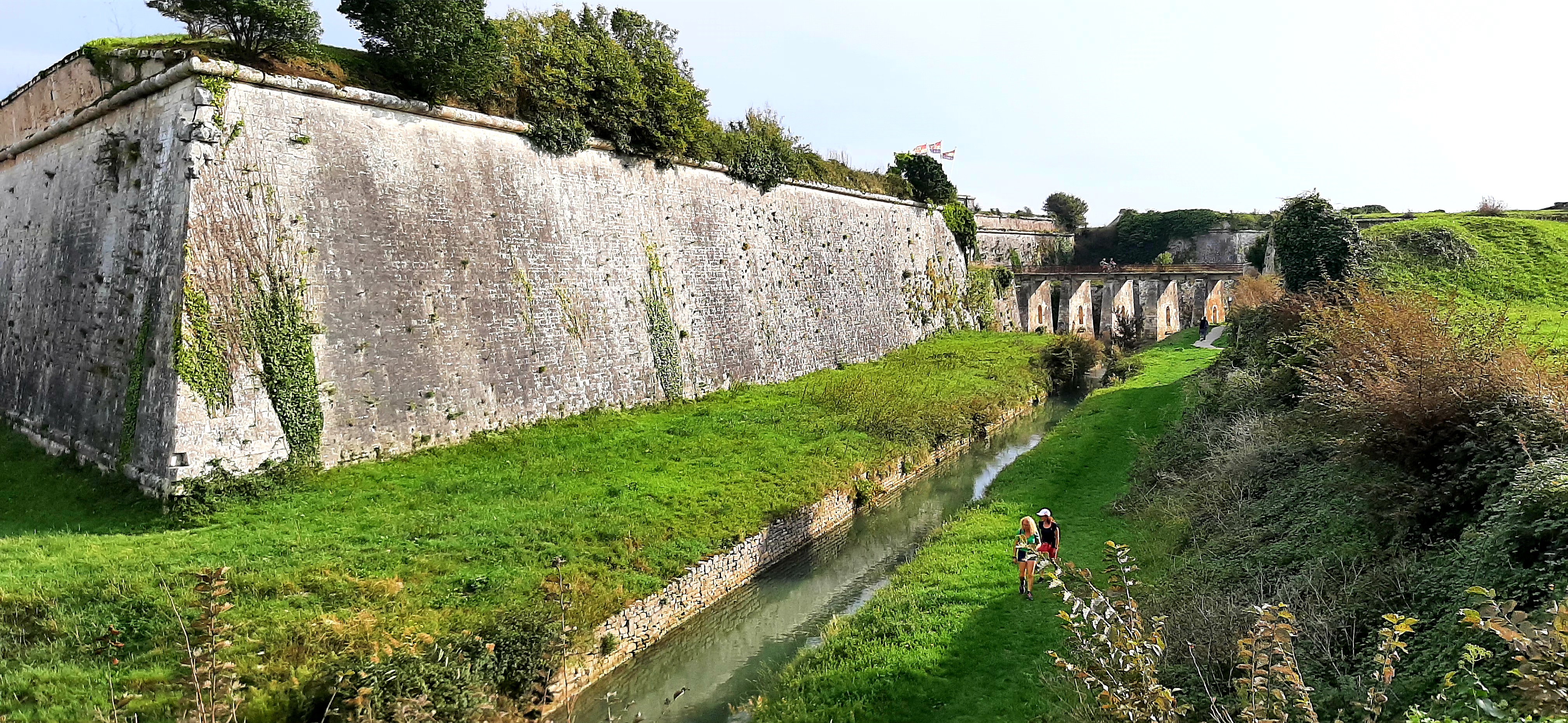 Photo n° 17 de l'avis de Sgt.e fait le 27/09/2023 à 18:24