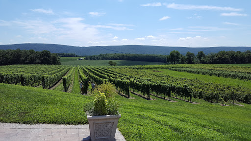 Winery «Galen Glen Winery», reviews and photos, 255 Winter Mountain Dr, Andreas, PA 18211, USA