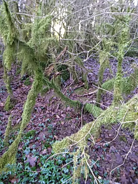 Photo n° 9 de l'avis de gaelle.a fait le 07/02/2018 à 12:28
