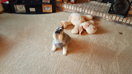 DeWitt Pet Hospital image