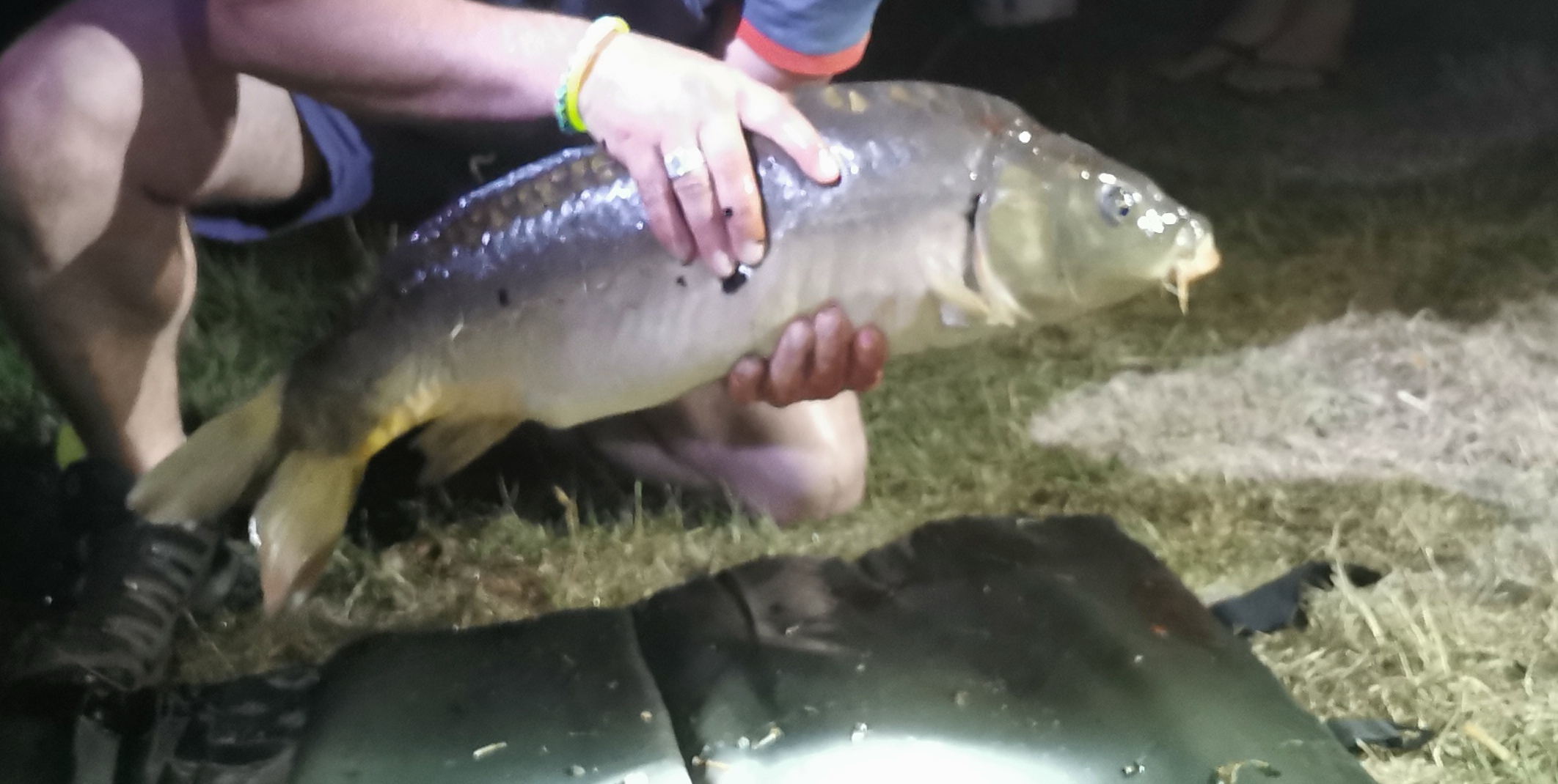 Photo n° 3 de l'avis de Marie.A fait le 12/06/2022 à 15:20