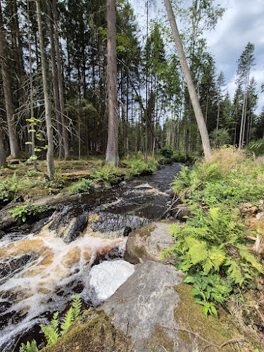Chráněná krajinná oblast Český les - Kostel