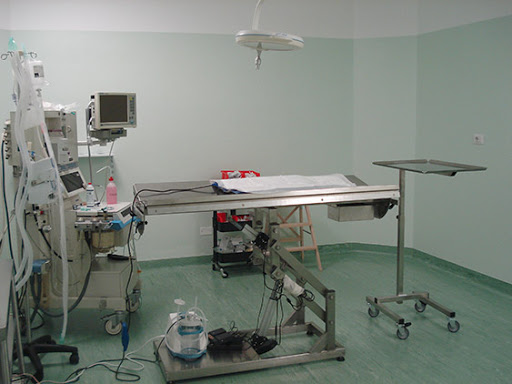 Pensioni per cani e dog hotel a Clinica Veterinaria Prealpi