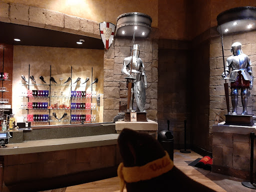 Dinner Theater «Medieval Times Dinner & Tournament», reviews and photos, 5900 Sugarloaf Pkwy #517, Lawrenceville, GA 30043, USA