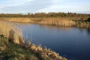 Royal Canal Greenway image