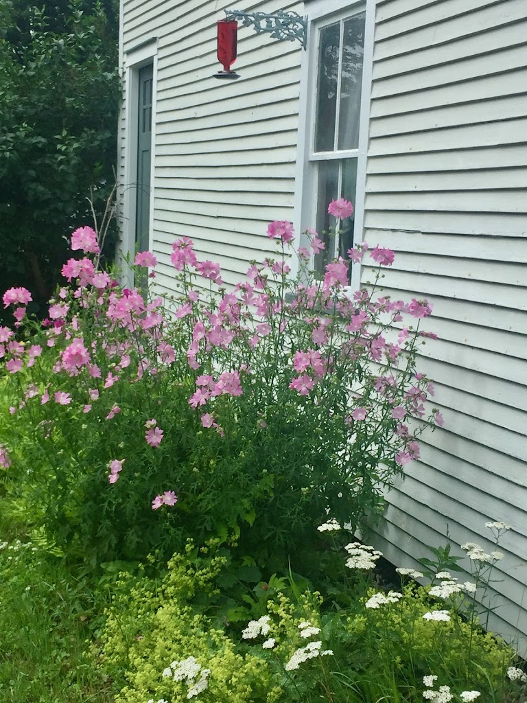 ra'por skincare 05465