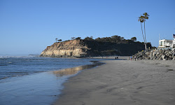 Del Mar Dog Beach