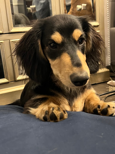 Pet Supply Store «Pet Ranch», reviews and photos, 3823 E 120th Ave, Denver, CO 80233, USA