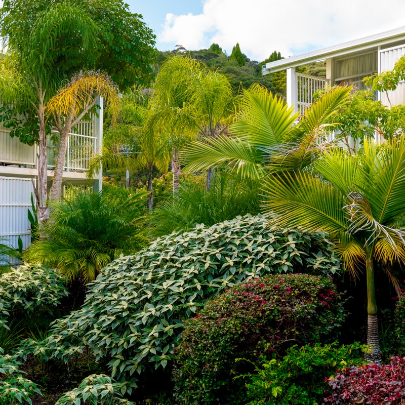 Scenic Hotel Bay of Islands