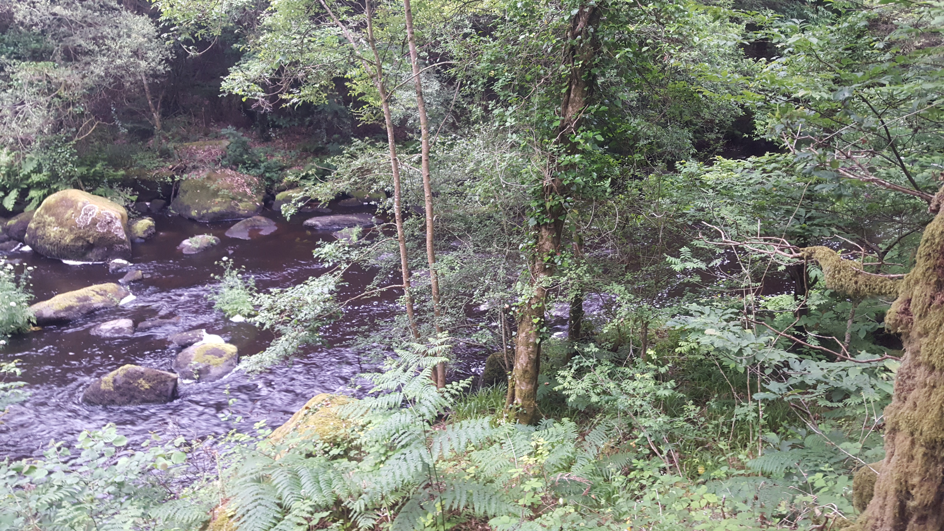 Photo n° 4 de l'avis de Emy.O fait le 27/06/2019 à 22:22