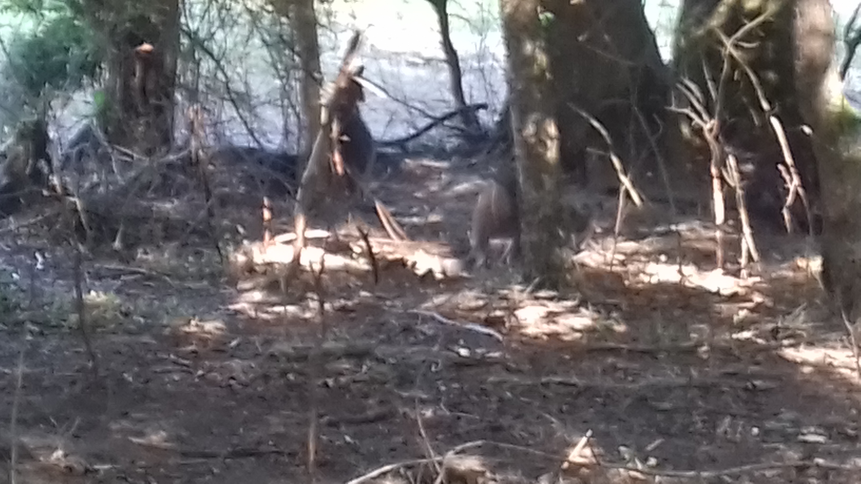 Photo n° 35 de l'avis de Laurent.o fait le 20/08/2018 à 10:25
