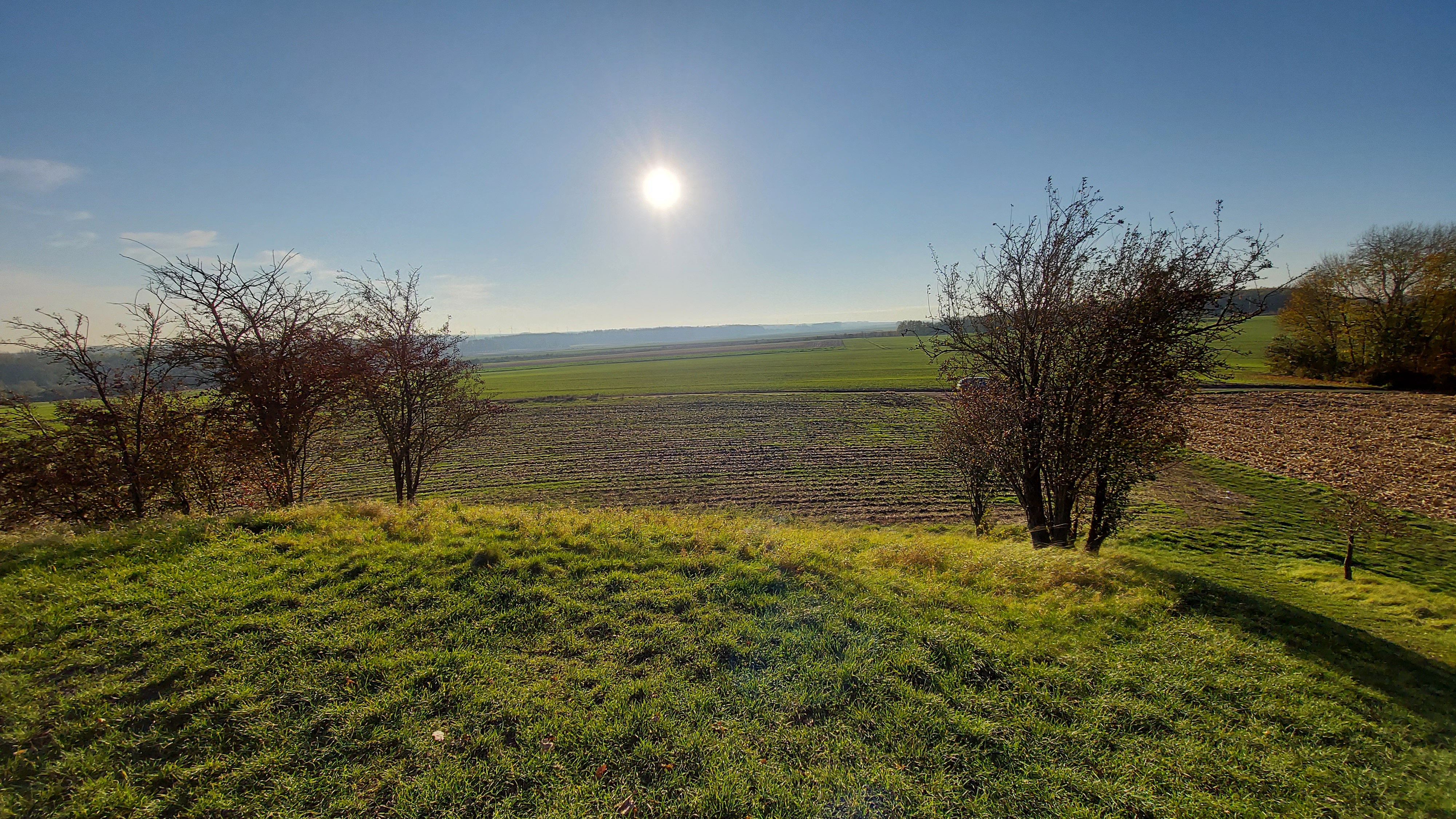 Photo n° 3 de l'avis de Olivier.. fait le 13/11/2021 à 16:54