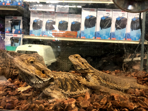 Pet Supply Store «Super Pet Store», reviews and photos, 5220 S Pulaski Rd, Chicago, IL 60632, USA