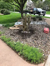 Elevated Living - Car repair in Olathe, KS, Olathe - Rated 4.9/5