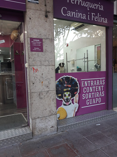 Serveis Veterinaris Baix Llobregat