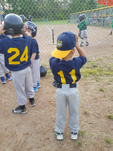 Historical Landmark «Mabel Hartzell Home», reviews and photos, 840 N Park Ave, Alliance, OH 44601, USA