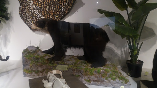 Science Museum «Buffalo Museum of Science», reviews and photos, 1020 Humboldt Pkwy, Buffalo, NY 14211, USA