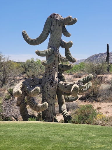 Golf Club «Troon North Golf Club», reviews and photos, 10320 E Dynamite Blvd, Scottsdale, AZ 85262, USA