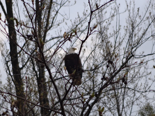 General Store «Corner Store», reviews and photos, 3109 Razorback Rd, Sayner, WI 54560, USA