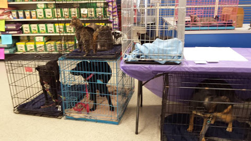 Pet Supply Store «The Feed Barn at Mahopac», reviews and photos, 166 US-6, Mahopac, NY 10541, USA