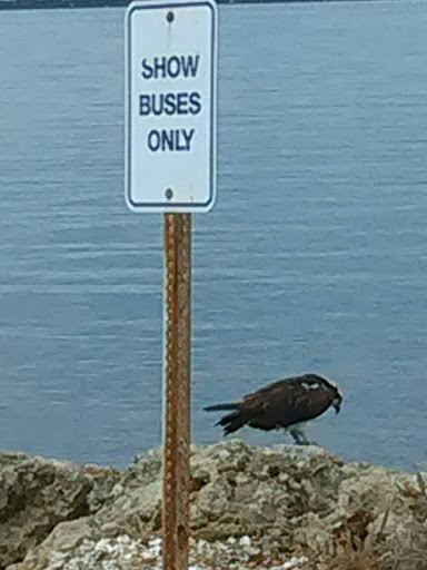 Performing Arts Theater «Van Wezel Performing Arts Hall», reviews and photos, 777 N Tamiami Trail, Sarasota, FL 34236, USA