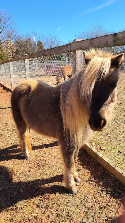A & K Farms Mobile Petting Zoo & Pony Rides